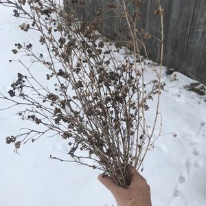 Meet your Posher, Annie